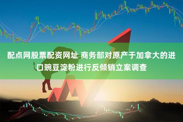 配点网股票配资网址 商务部对原产于加拿大的进口豌豆淀粉进行反倾销立案调查